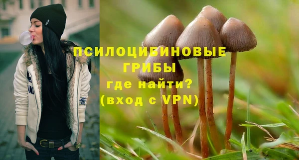 хмурый Балабаново